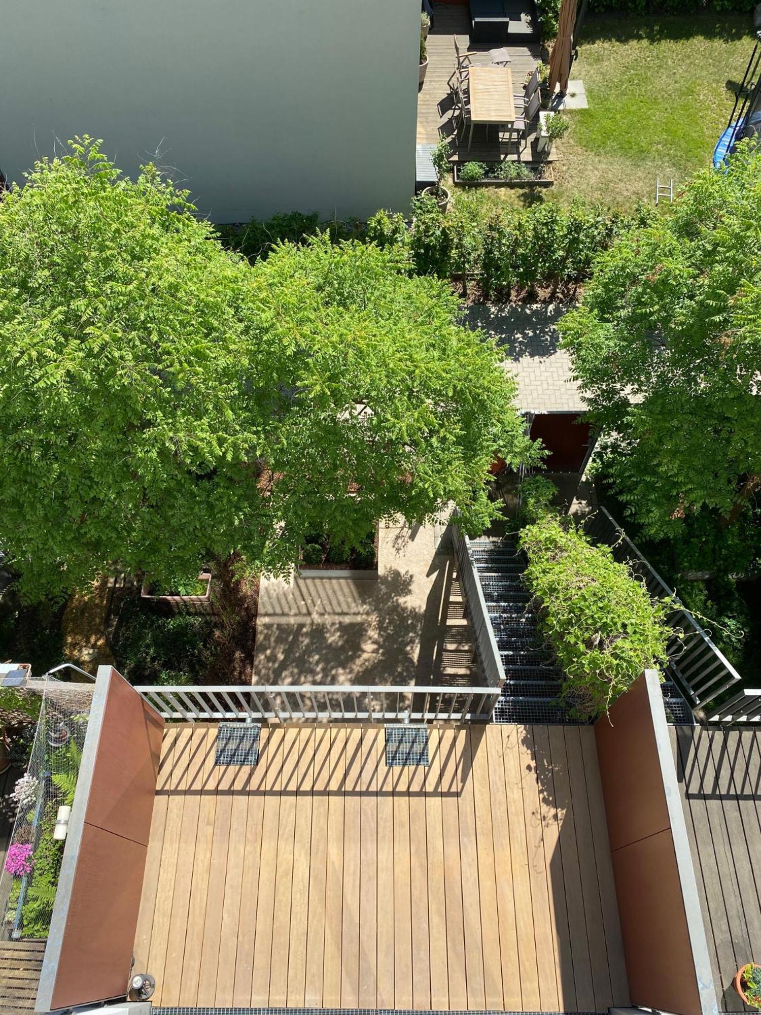 הוילה דרזדן Townhouse Alaunpark מראה חיצוני תמונה